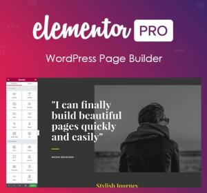 Elementor PRO WordPress Page Builder + Pro Templates